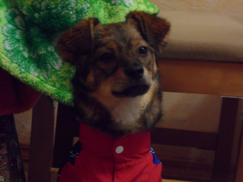 Анастасия Мюллер | Дзержинск