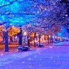 Саша Авраменко | Киев
