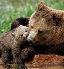 Олеся Лесина | Уфа