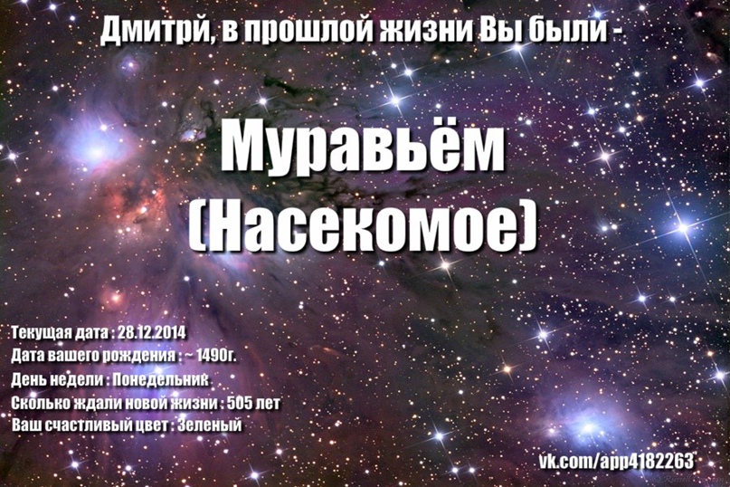 Дмитрий Булкин Тамплиер | Москва