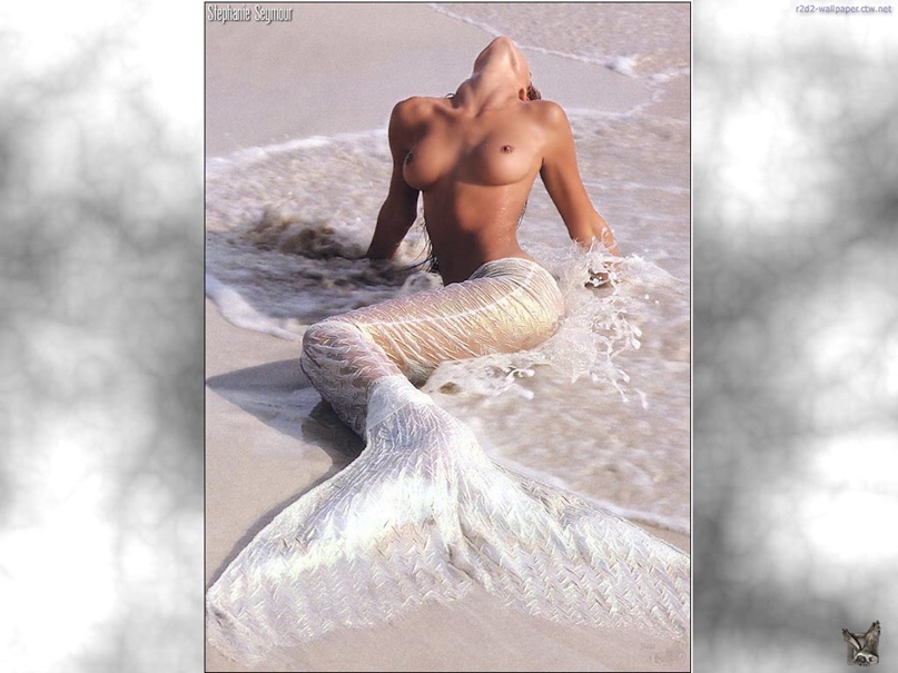 Алексей Шарапов | Балашиха