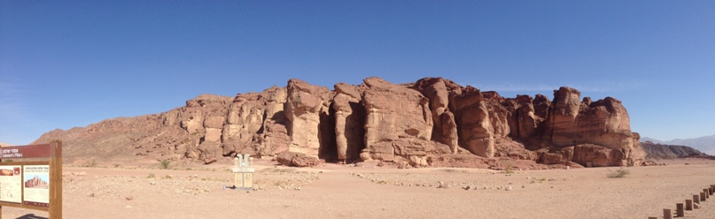 Наталья Старикова | Москва