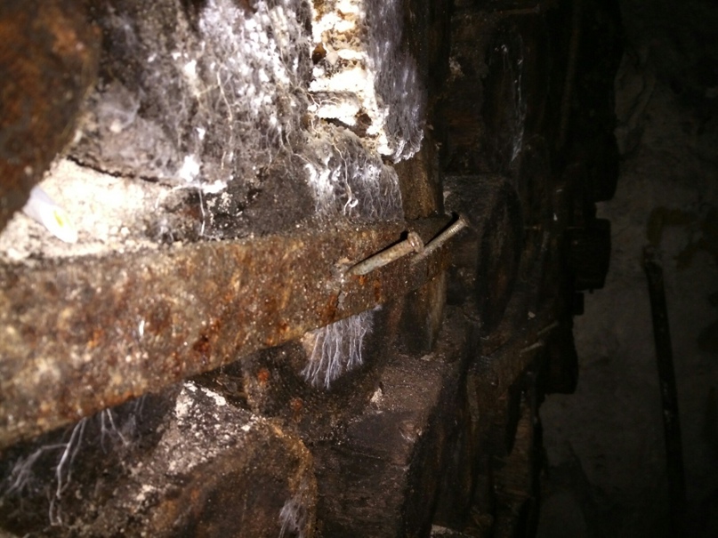 Алексей Мокров | Тольятти