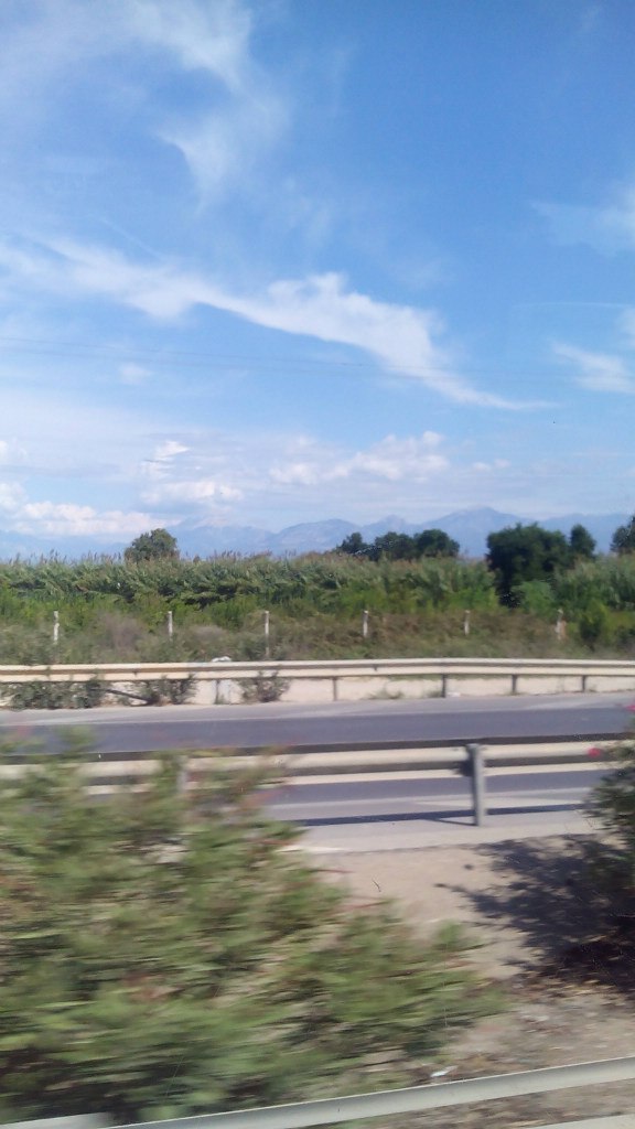 Никита Чирков | Глазов