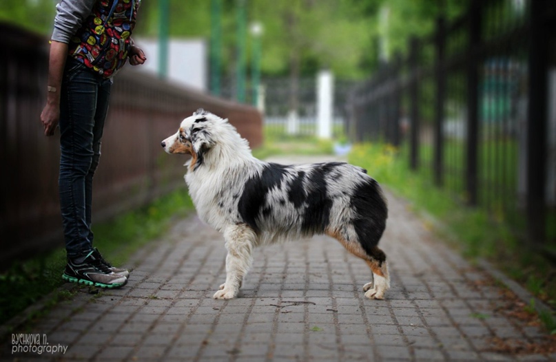 Наталия Бычкова | Коломна