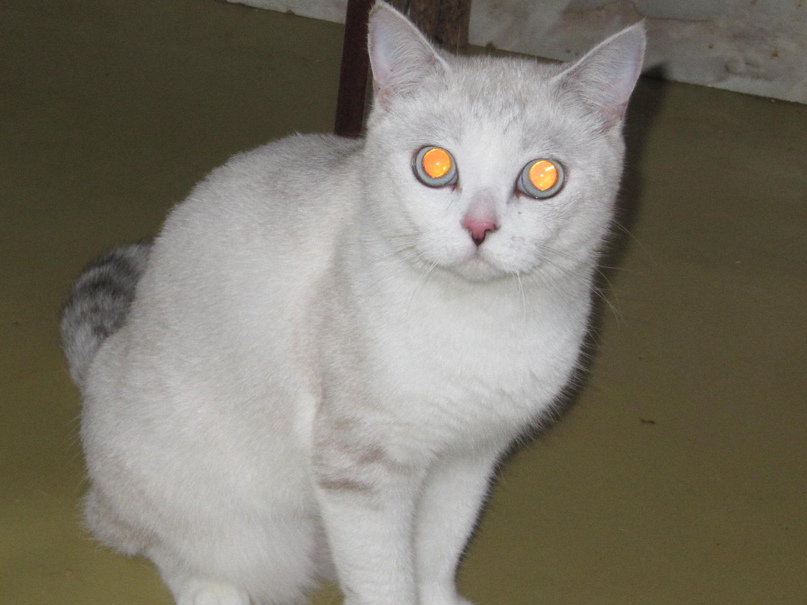 Ольга Некрасова | Курск