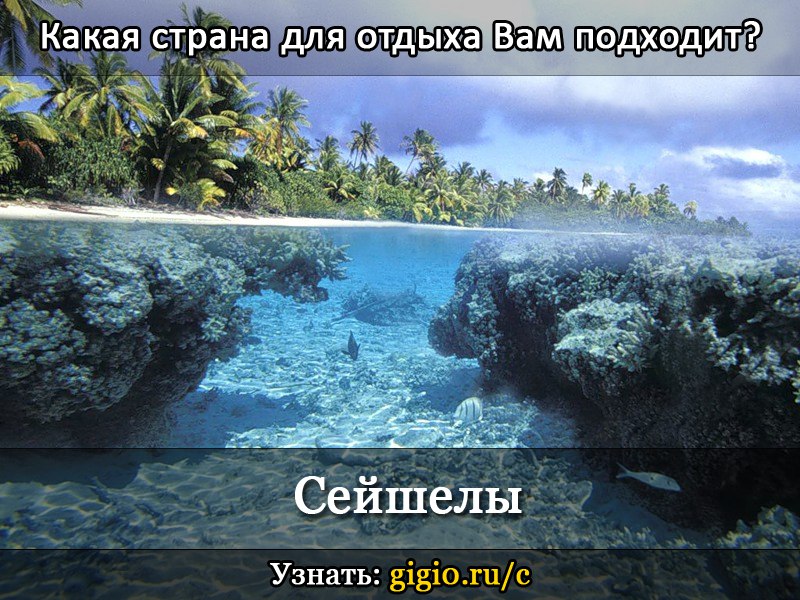 Дмитрий Лапин | Лесной Городок