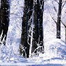 Михаил Семенов | Санкт-Петербург