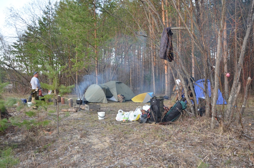 Алёна Волошина | Йошкар-Ола