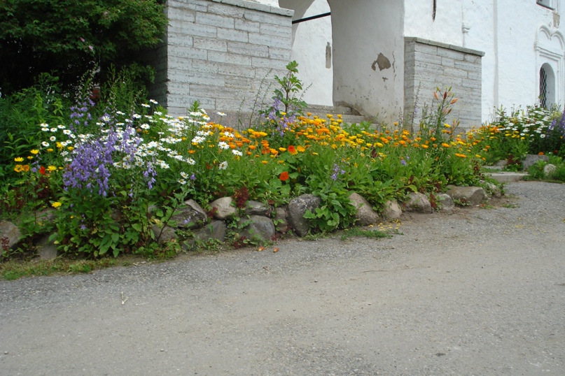 Валерий Андреев | Санкт-Петербург