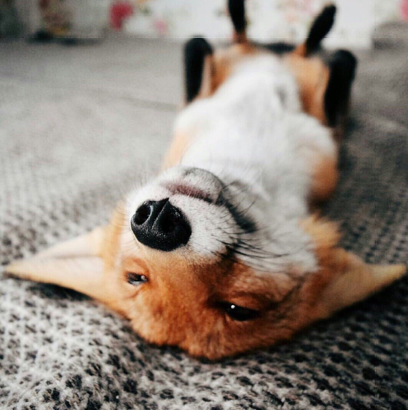 Илья Обухов | Пенза