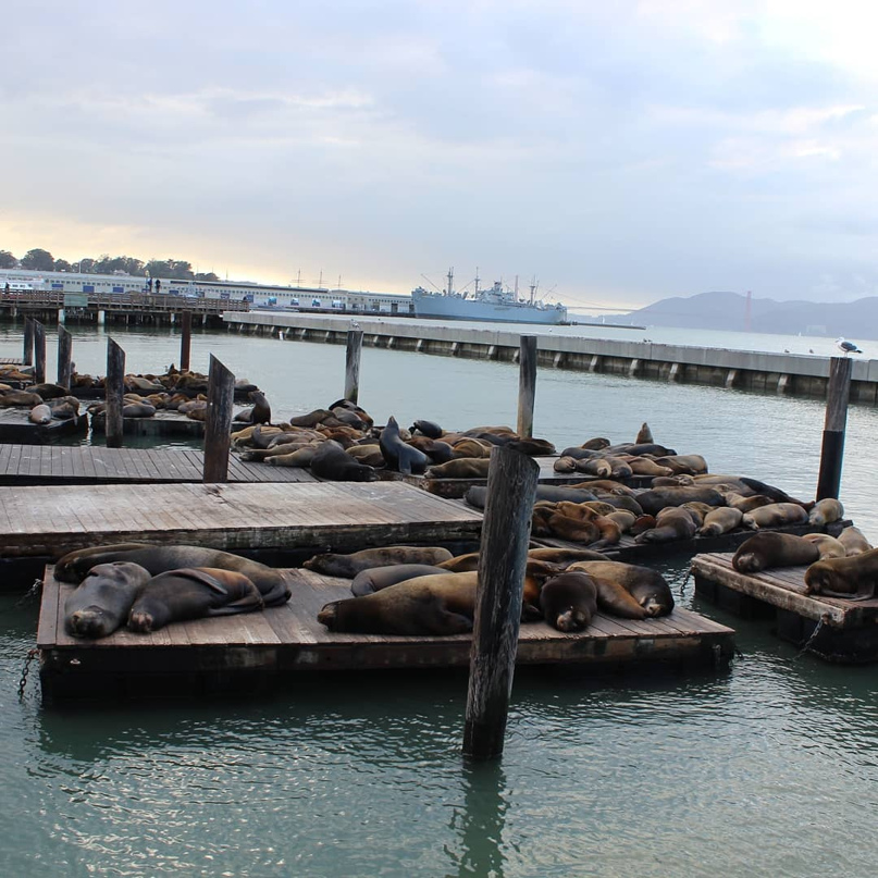 Владимир Купцов | Магнитогорск