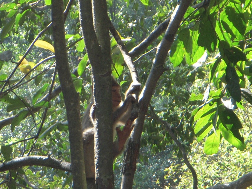 Илья Викторов | Казань