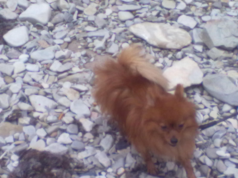 Дмитрий Козлов | Москва