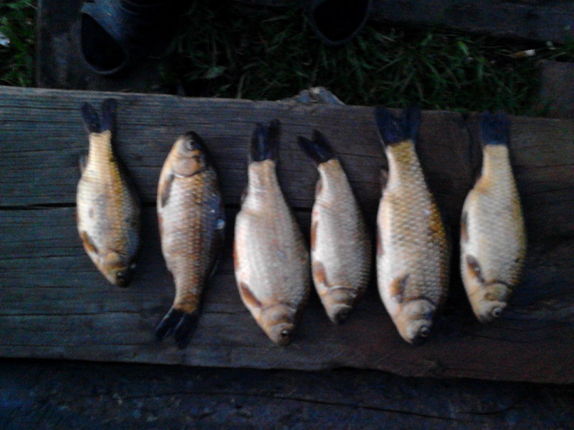 Евгений Вознюк | Ачинск