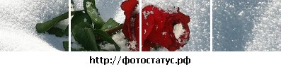 Оксана Логвин | Бердянск