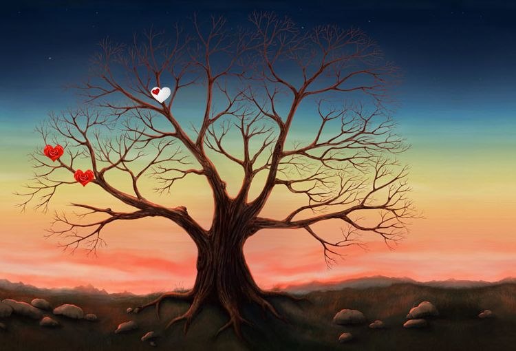 Рамиль Каримов | Тобольск