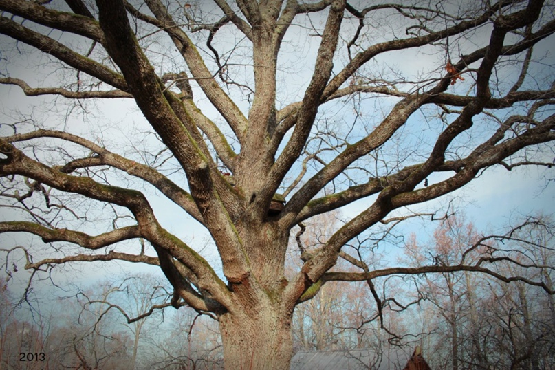 Ирина Куликова ❤ | Витебск