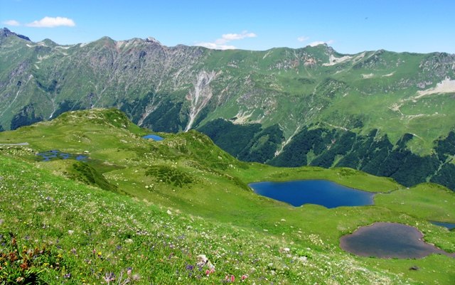 Наталья Милованова |