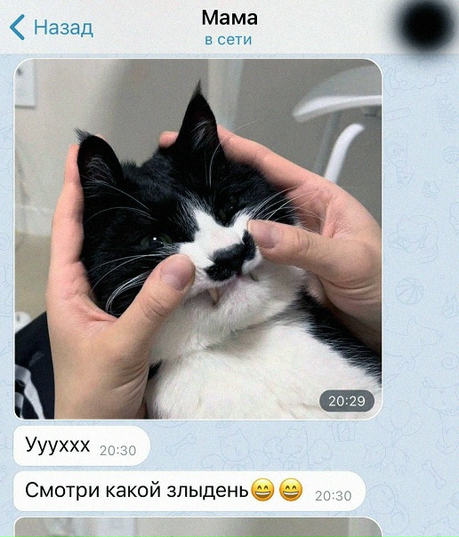 От мамы только важные сообщения)