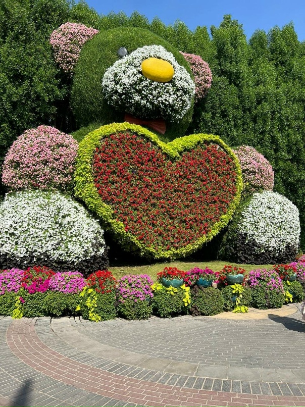 Юлия Мейер | Тель-Авив