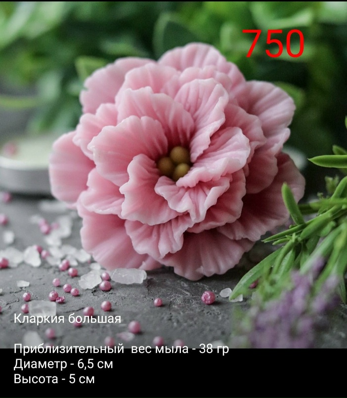 Любовь Сучкова | Чебоксары