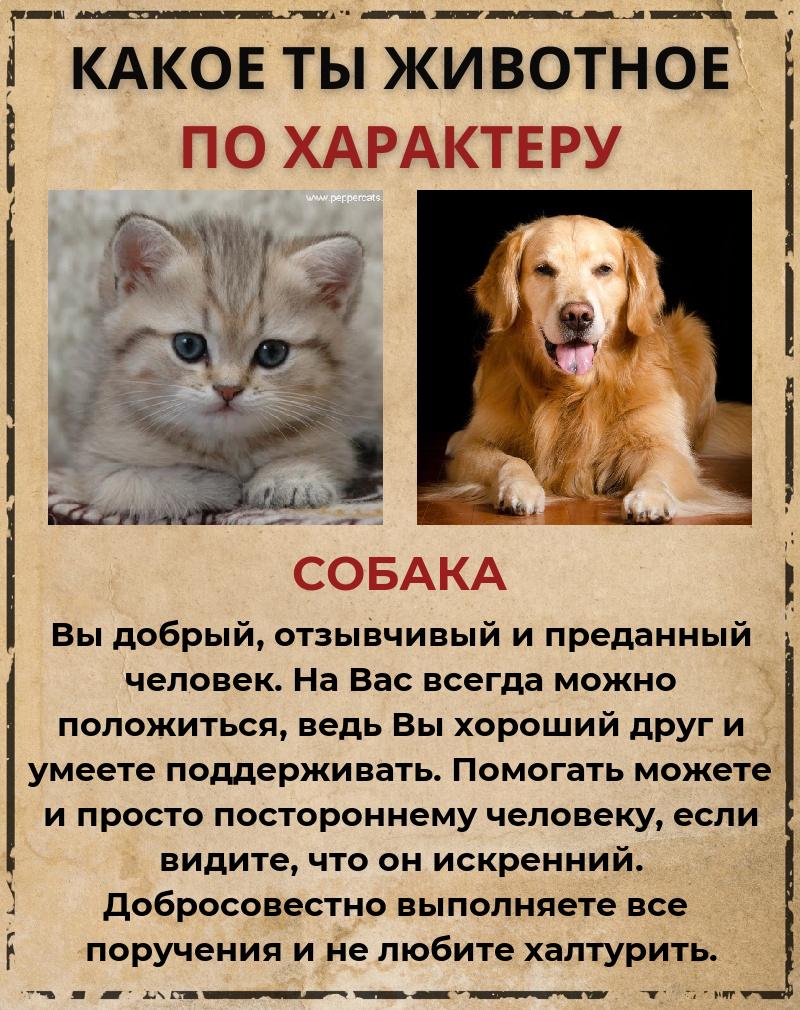 Галина Лихачёва | Киров