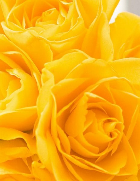 Ольга Коновалова | Ижевск