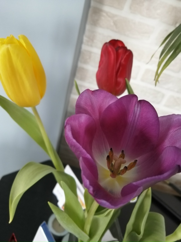 Марина Ушакова | Киров