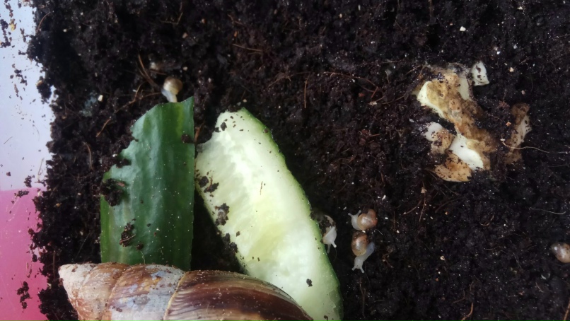 Жанна Аникина | Омск