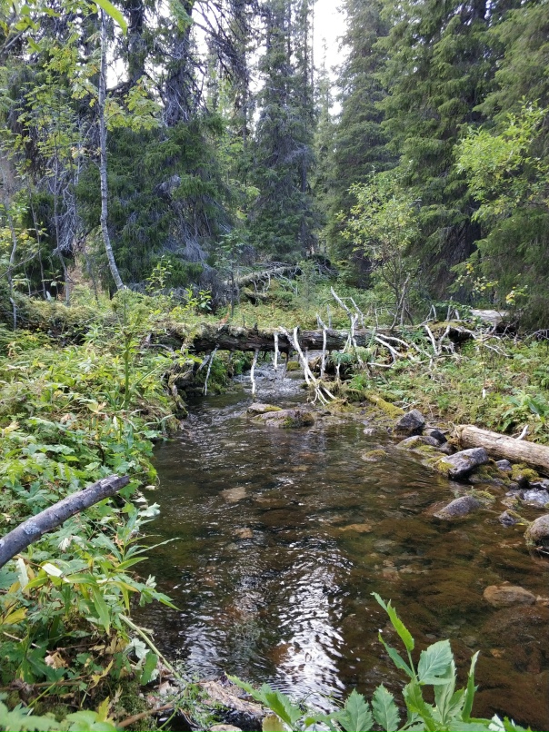 Игорь Беленков | Мурманск