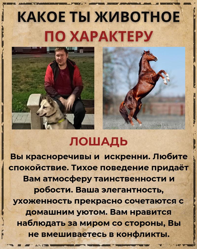 Александр Красильников | Венцы