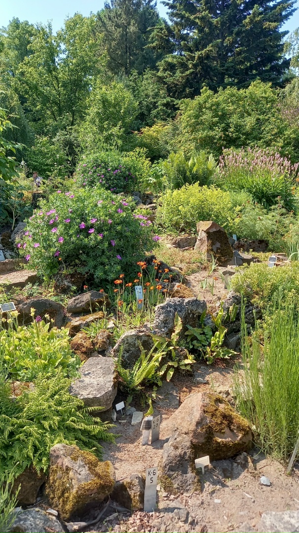 Елена Переверзева | Санкт-Петербург