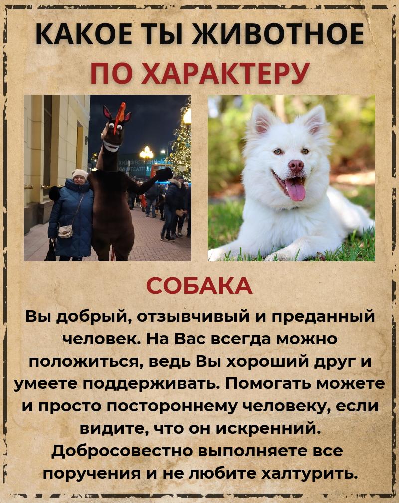 Наталья Калмыкова | Липецк