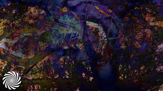 Shamanic Reality & Twisted Perception -The Will of the Forest