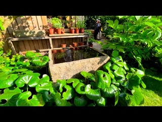 Челси 2024 (Часть 2)- Сады - Цветочное Шоу в Челси 2024 - Chelsea Flower Show 2024 - Gardens
