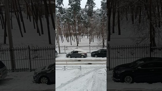 Мой опыт отношений с РСП.