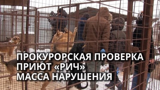 На хозяйку приюта “Рич“ завели три дела