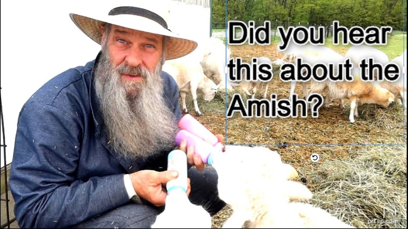 Amish are sick of being Raided by Government so they are