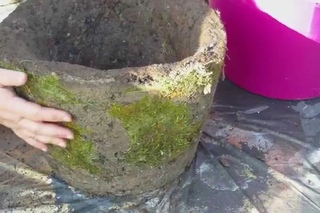 Beton giessen - Hypertufa mit eingearbeitetem Moos