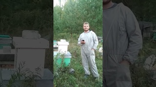 Отзыв Дмитрия Скришевского