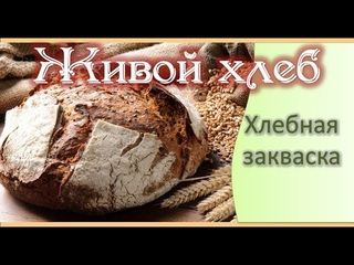 “Хлебный вебинар“ с Ольгой Дзюбан