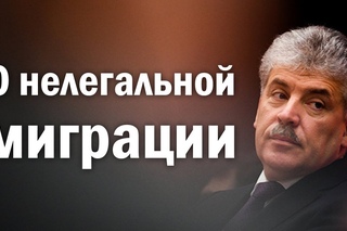 Грудинин о нелегальной миграции