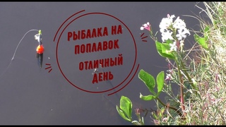 Рыбалка на поплавок.