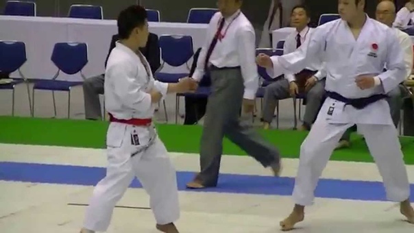 JKA2015 All Japan Kumite Final Nemoto vs Haga