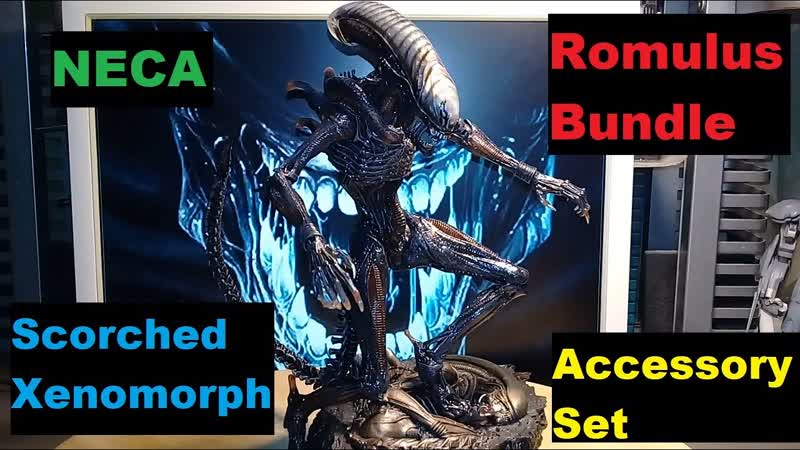 Review Neca 2024 Alien: Romulus Bundle ( Scorched Xenomorph Accessory Set). Watch