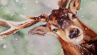 Watercolor Winter Deer Stag Painting Tutorial