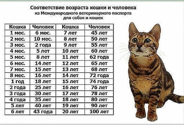 Жрать 2024 ВКонтакте