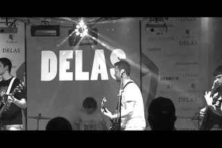 DELAS - ВКЗ