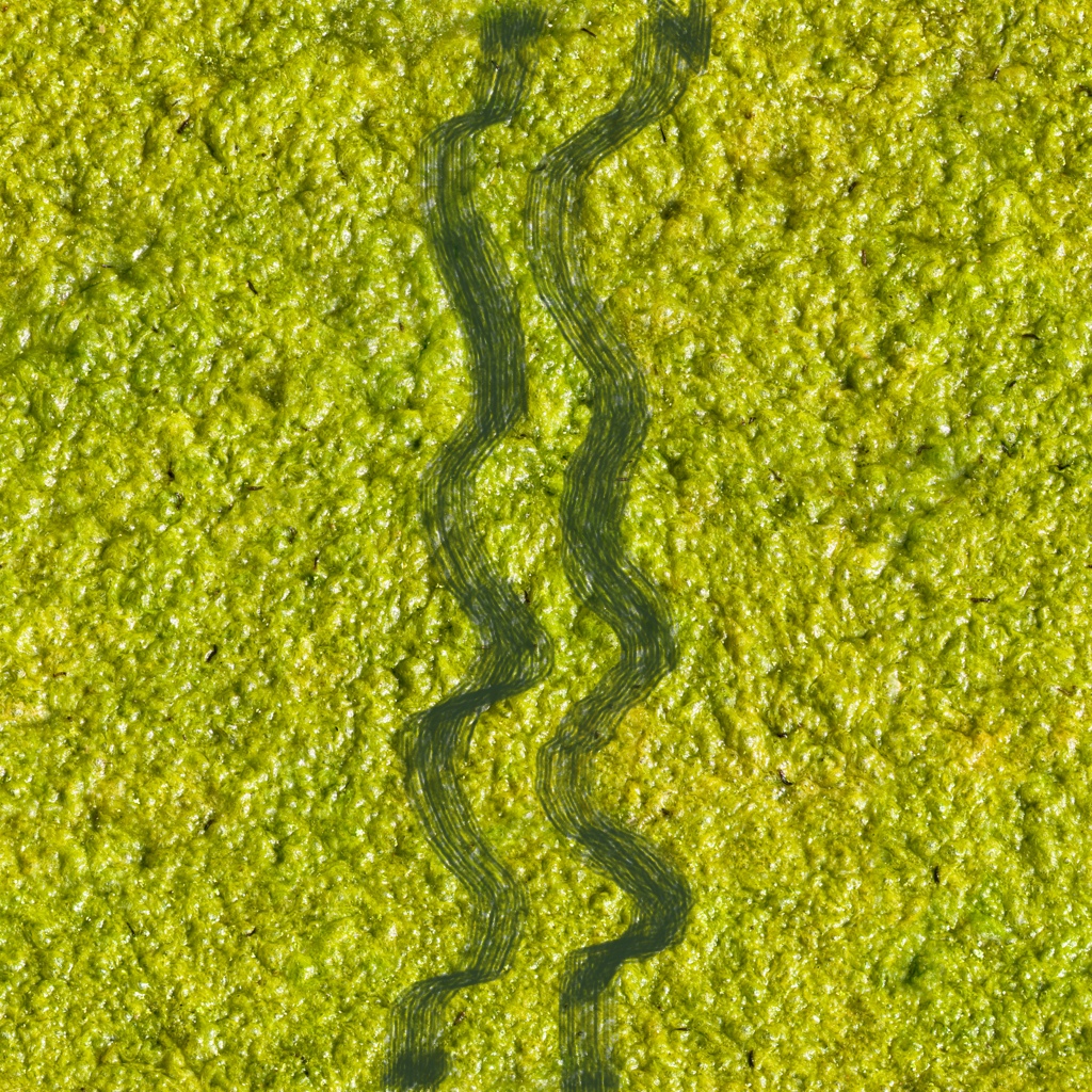 prairie w1